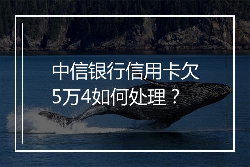 中信银行信用卡欠5万4如何处理？