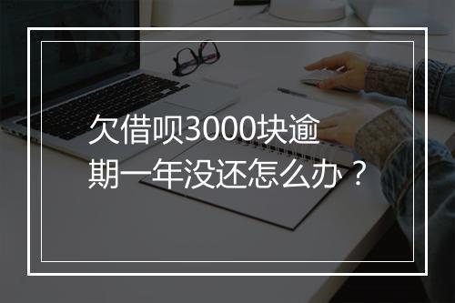 欠借呗3000块逾期一年没还怎么办？