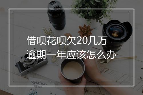 借呗花呗欠20几万逾期一年应该怎么办