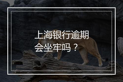 上海银行逾期会坐牢吗？