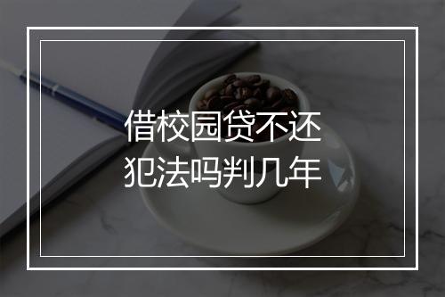 借校园贷不还犯法吗判几年