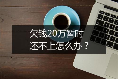 欠钱20万暂时还不上怎么办？