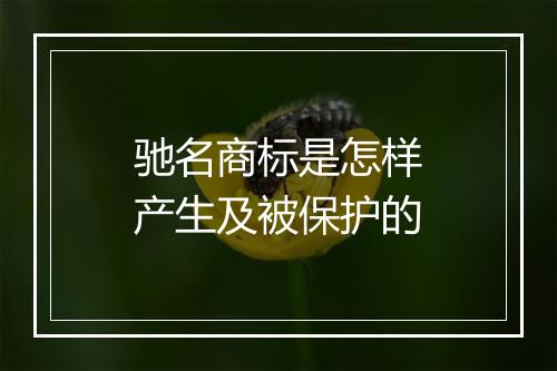 驰名商标是怎样产生及被保护的