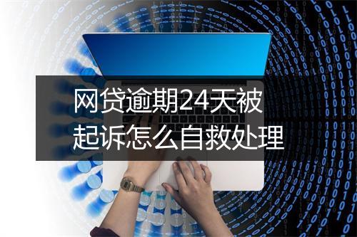 网贷逾期24天被起诉怎么自救处理