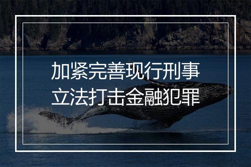 加紧完善现行刑事立法打击金融犯罪