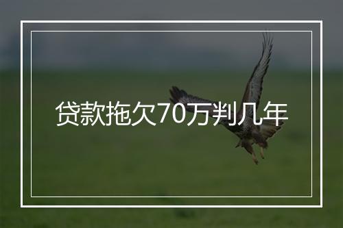 贷款拖欠70万判几年