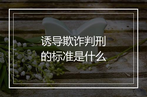 诱导欺诈判刑的标准是什么