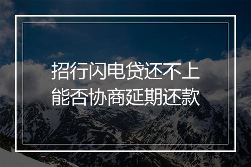 招行闪电贷还不上能否协商延期还款
