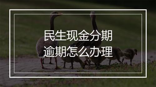 民生现金分期逾期怎么办理
