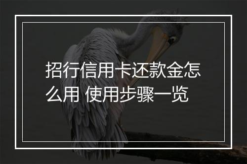 招行信用卡还款金怎么用 使用步骤一览