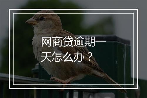 网商贷逾期一天怎么办？