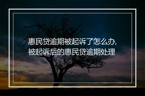 惠民贷逾期被起诉了怎么办,被起诉后的惠民贷逾期处理