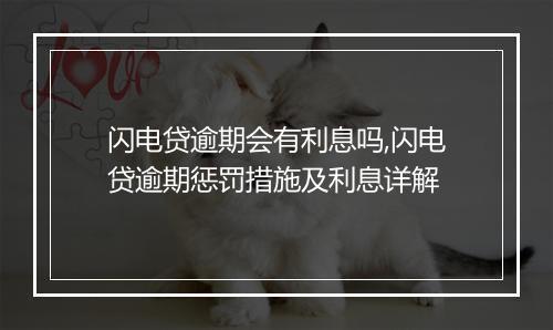 闪电贷逾期会有利息吗,闪电贷逾期惩罚措施及利息详解
