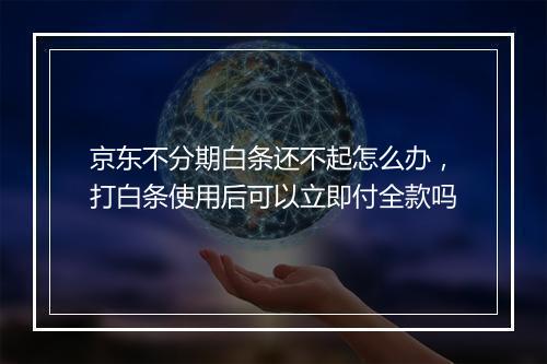 京东不分期白条还不起怎么办，打白条使用后可以立即付全款吗