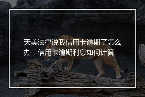 天美法律说我信用卡逾期了怎么办，信用卡逾期利息如何计算