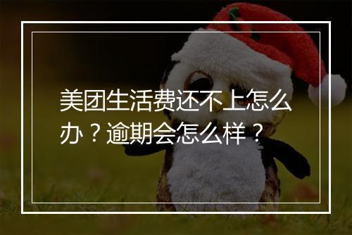 美团生活费还不上怎么办？逾期会怎么样？