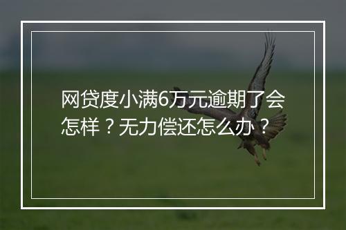 网贷度小满6万元逾期了会怎样？无力偿还怎么办？