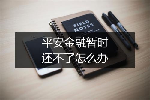 平安金融暂时还不了怎么办