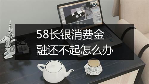 58长银消费金融还不起怎么办