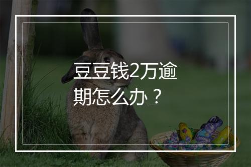 豆豆钱2万逾期怎么办？