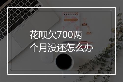 花呗欠700两个月没还怎么办