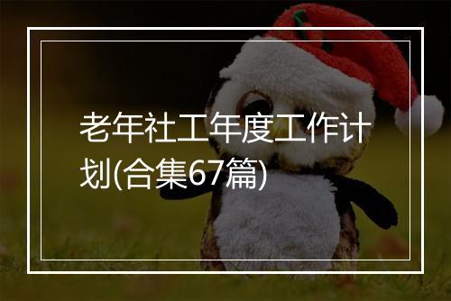 老年社工年度工作计划(合集67篇)