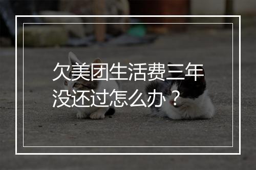 欠美团生活费三年没还过怎么办？