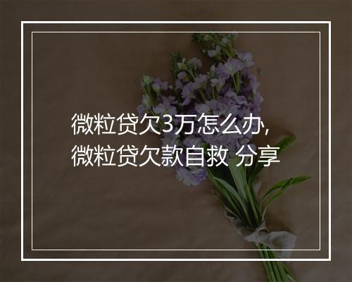 微粒贷欠3万怎么办,微粒贷欠款自救 分享