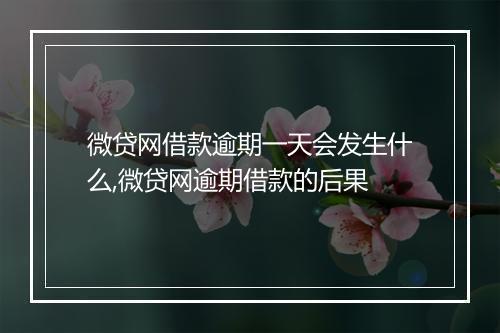 微贷网借款逾期一天会发生什么,微贷网逾期借款的后果