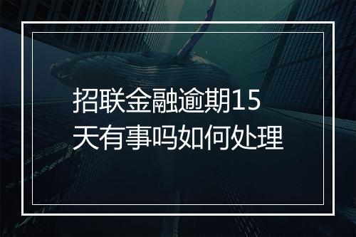 招联金融逾期15天有事吗如何处理