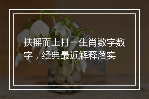 扶摇而上打一生肖数字数字，经典最近解释落实