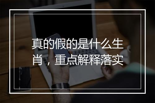 真的假的是什么生肖，重点解释落实