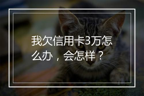 我欠信用卡3万怎么办，会怎样？