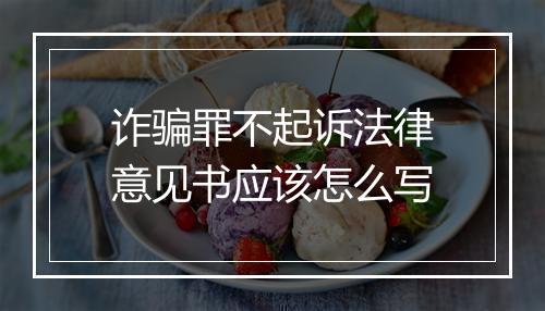 诈骗罪不起诉法律意见书应该怎么写