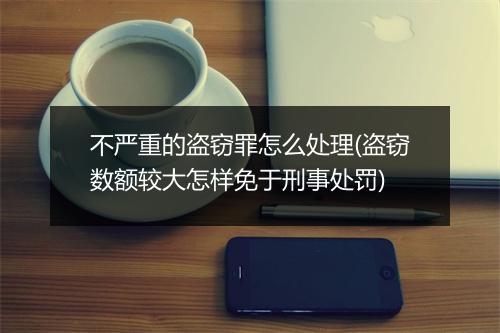 不严重的盗窃罪怎么处理(盗窃数额较大怎样免于刑事处罚)