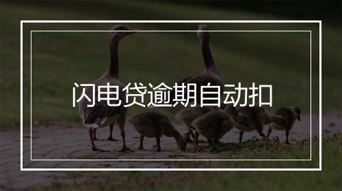 闪电贷逾期自动扣