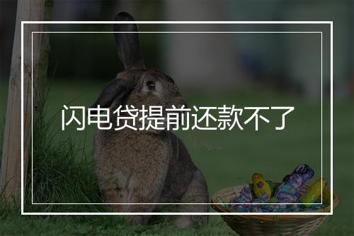 闪电贷提前还款不了