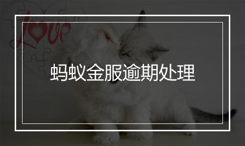 蚂蚁金服逾期处理