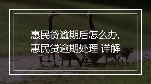 惠民贷逾期后怎么办,惠民贷逾期处理 详解