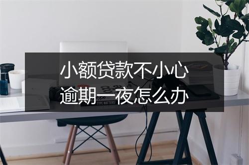 小额贷款不小心逾期一夜怎么办