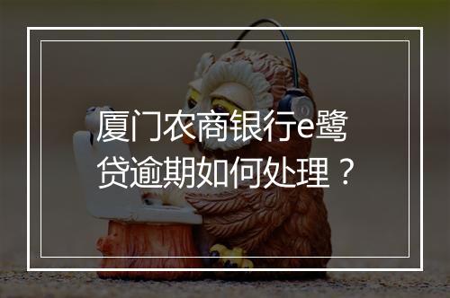 厦门农商银行e鹭贷逾期如何处理？