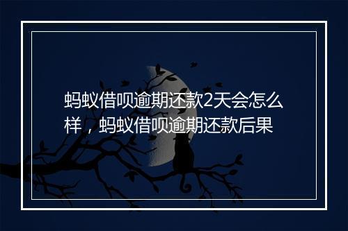 蚂蚁借呗逾期还款2天会怎么样，蚂蚁借呗逾期还款后果