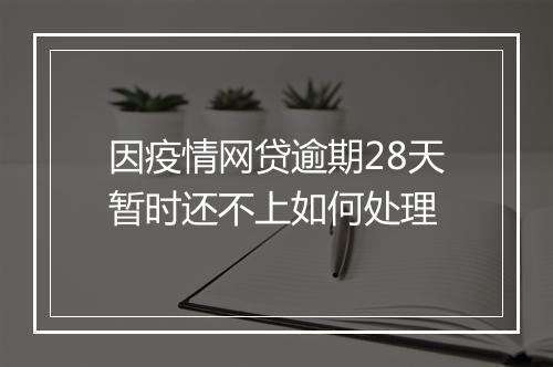 因疫情网贷逾期28天暂时还不上如何处理