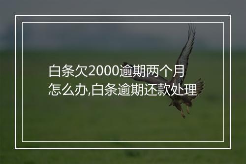 白条欠2000逾期两个月怎么办,白条逾期还款处理