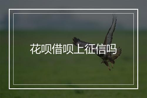 花呗借呗上征信吗