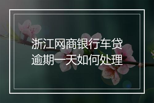 浙江网商银行车贷逾期一天如何处理