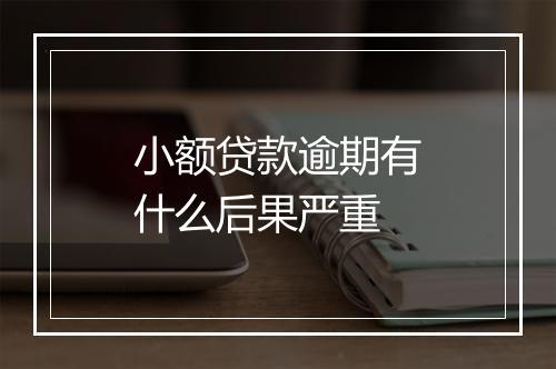 小额贷款逾期有什么后果严重