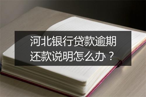 河北银行贷款逾期还款说明怎么办？