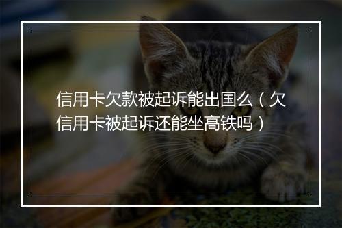 信用卡欠款被起诉能出国么（欠信用卡被起诉还能坐高铁吗）