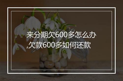 来分期欠600多怎么办,欠款600多如何还款